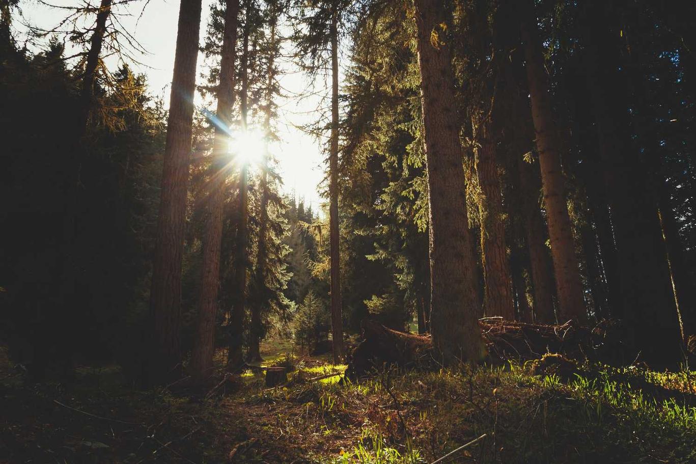 Error nisi reprehenderit esse delectus